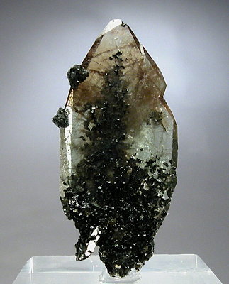 Sphen-Kristall mit Chlorit| H: 2cm; Fundort: Felbertal