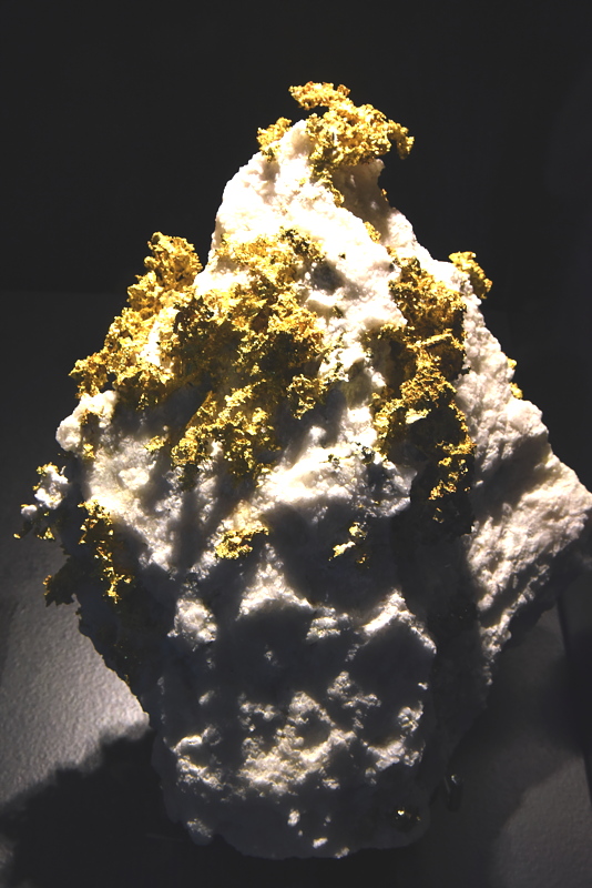 Gediegen Gold| H: ca. 30 cm; F: Brusson, Aostatal, I; Sammlung: Museo Civico di Storia Naturale, Milano 