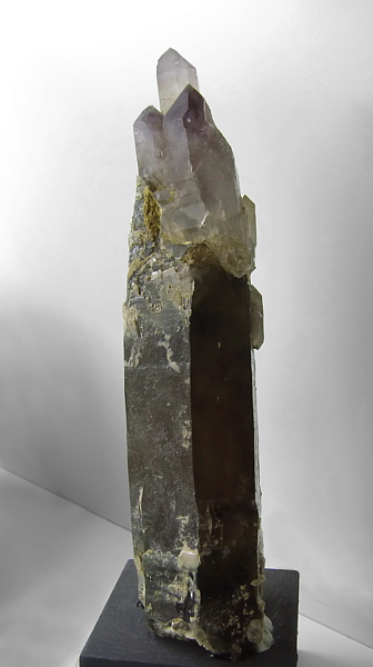 Rauchquarz mit Amethystzeper| H: 23 cm; Fundort: Schwarzenbach, Ahrntal; Sammlung: Kurt Marcher 