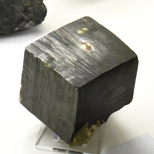 Pyrit (kubisch)| H: 6 cm; F: Gliedergang; Sammlung: Karl Ainhauser 