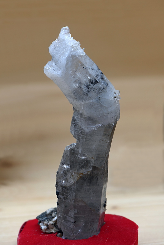 Quarz gebogen mit Klinochlor| B: 14 cm; F: Neves Höhenweg; Finder: Alois Holzer