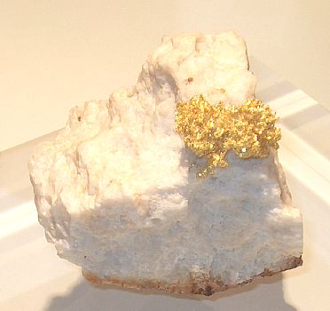 Gold auf Quarz| H: 5cm, B: 5cm, Gold: 3.5cm; F: Brusson, IT; coll: Roberto Ferronato
