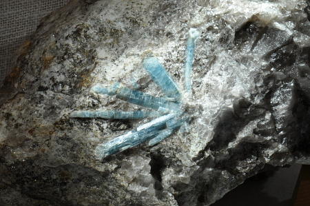 Aquamarin-Garbe| BB: 15 cm; Fundort: Untersulzbachtal; Finder: Franz Gartner 