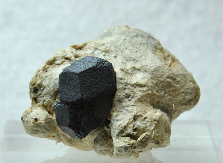 Magnetit in Bergleder| B: 6 cm; Fundort: Rifflkees, Stubachtal; Finder: Sepp Papp 