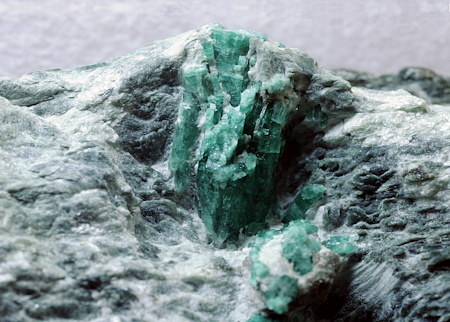 Smaragd-Büschel auf Matrix| BB: 18cm; F: Habachtal; Finder: Andreas Steiner