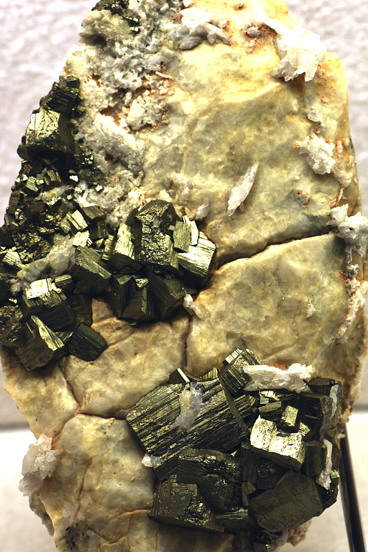 Pyrit auf Kalk| H: ca. 10cm, F: Rauris; Finder: Georg Gerstgraser 