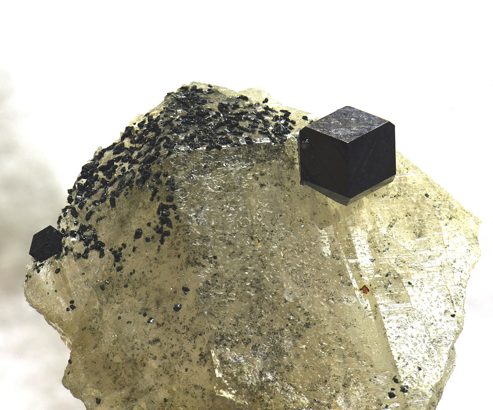 Magnetit auf Quarz| B: ca. 6cm, F: Felbertal; Finder: Sepp Papp 