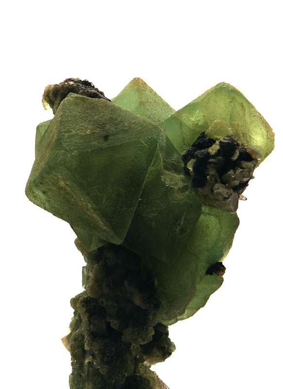 grüner Fluorit| H: ca. 5cm, F: Gastein; Finder: Robert Hartweger 