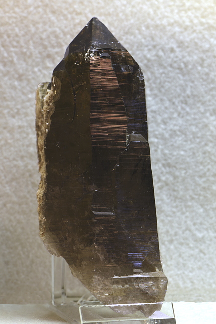 Rauchquarz-Spitze| H: ca. 10 cm, F: Krimmler Achental; Finder: Niederegger, Schöpp und Gandler 