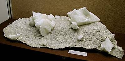 Super-Adularstufe vom Piz Starlera GR, (B: 70cm; Finder: G. Venzin, 196205). Die schneeweissen Adularmehrlinge sitzen auf einem Rasen von kleinsten Adularkristallen.