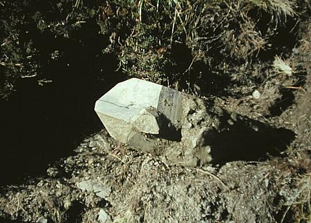 Ein 'kluftfrischer' grosser Phantomquarz| (Länge ca. 35 cm) noch von Lehm und Bündnerschiefer überzogen.