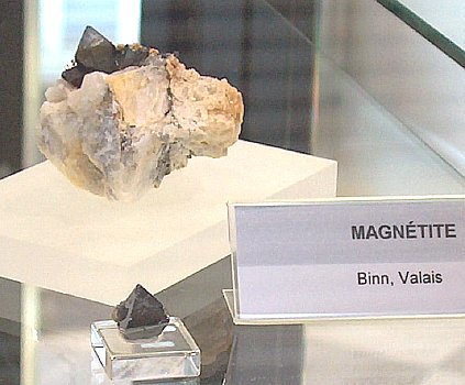 Magnetit| F: Binn, VS; Stufe: B: ca. 6 cm; Einzelkristall B: ca. 1 cm [71]