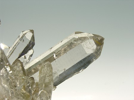 Klare Quarzkristalle| Marmotta-Kluft, Grimsel; Bildbreite: 8cm (Sammlung Kristallmuseum Obergesteln)