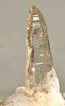 Quarzkristall (Tessiner-Habitus)| F: Val Bedretto, TI;  LK: 6cm (Sammlung Johannes Dollinger)