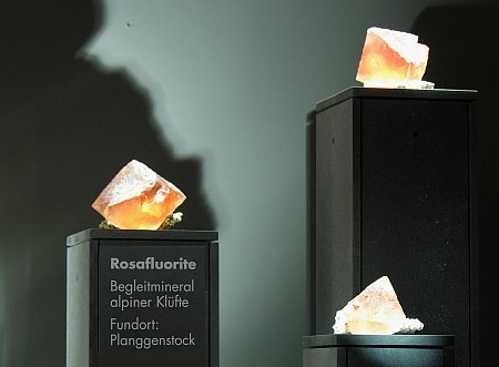 3 grosse Rosa-Fluorit-Kristalle| B: 7-10cm; Fundort: Planggenstock, Göscheneralp (UR)