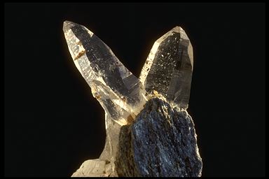 Tessiner Quarz auf Glimmerschiefer, Val Ruinò TI, 7 cm. 