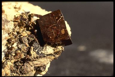 Pyrit auf Matrix, Lago Bianco TI, 1 cm. 