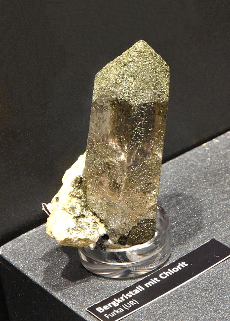 Bergkristall mit Chlorit| H: 7 cm; F: Furka, UR; Sammlung: René Tresch