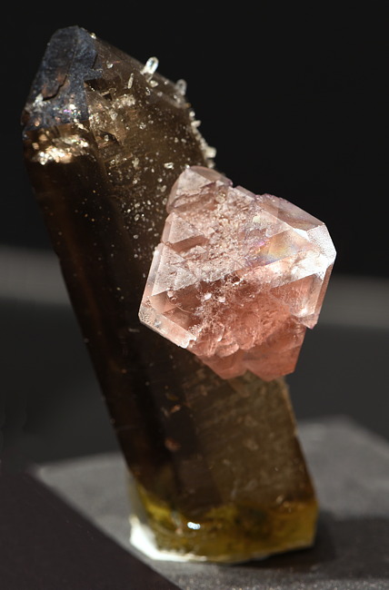Rosafluorit auf Rauchquarzkristall| H: 6 cm; F: Zinggenstock, BE; Sammlung: Hans Rufibach
