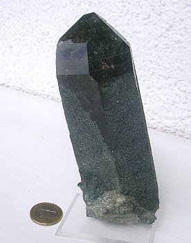 Chloritquarz Einzelkristall| H: 15cm