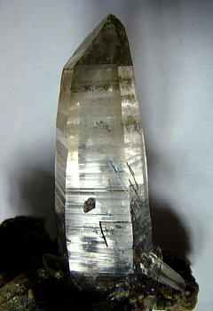 Bergkristallspitze| (Detail von 005) mit Übergangshabitus; L: 7cm; F: Gastacherwände, OT (Ö). [007] 