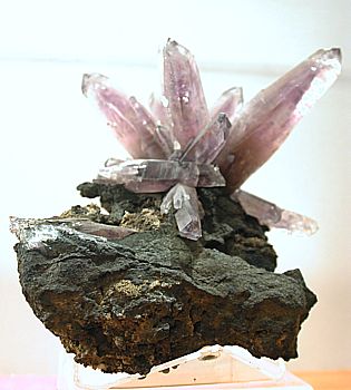 Amethyst| H: 20 cm; Fundort: Guerrero, Mexiko; Fine Minerals International, Inc., Email: 