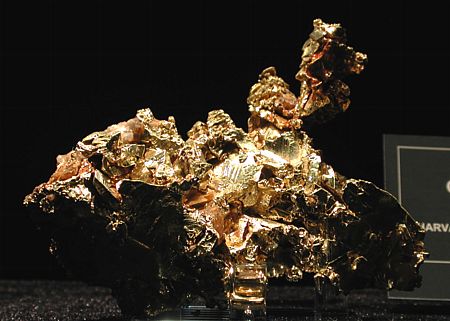 Gold auf Quarz| B: 9 cm; Californien, USA. (Harvard Mineralogical Museum)