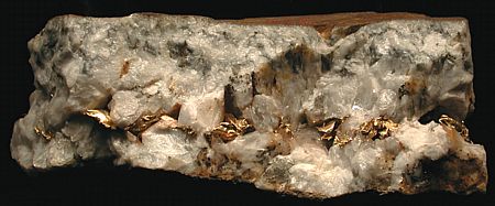 Goldader mit Blattgold| B: 22 cm; Burgin Hill Mine, CA, USA. (Harvard Mineralogical Museum)