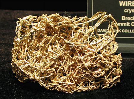 Gold-Draht auskristallisiert| B: 7.5; Breckenridge, Summit Co., CO, USA. (David Bunk Coll.)