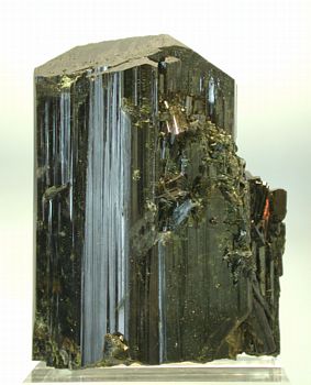 Epidot-Einzelkristall| ein typischer dickprismatischer Kristall aus dem Neufund. LK: 10 cm, Fundort: Northern Fronier District, Kenya