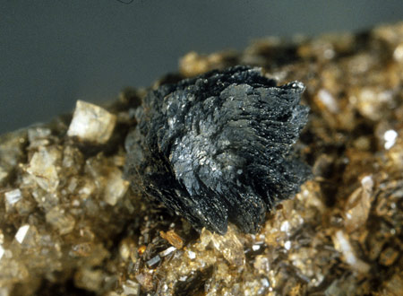 Cervandonit xx| (Rosette 6 mm Durchmesser), vorderer Kollergraben 