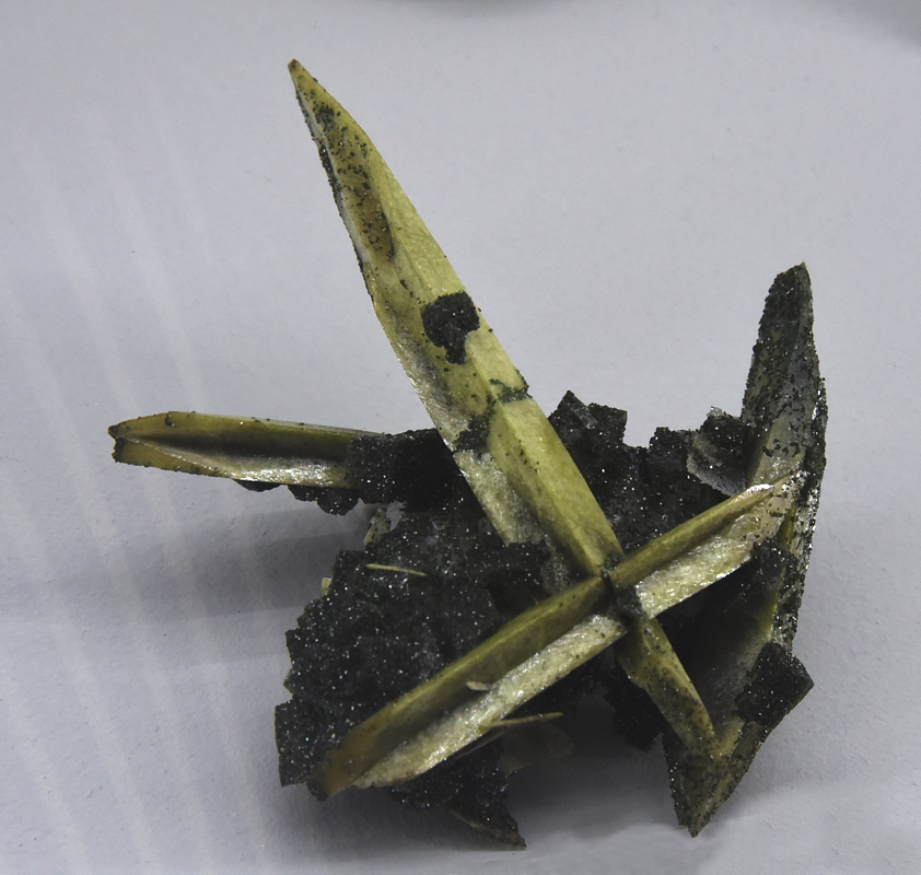 Titanit mit Adular und Chlorit| H: ca. 7 cm; F: Druntobel, GR, CH; Sammlung: British Muesuem of Natural History, London 