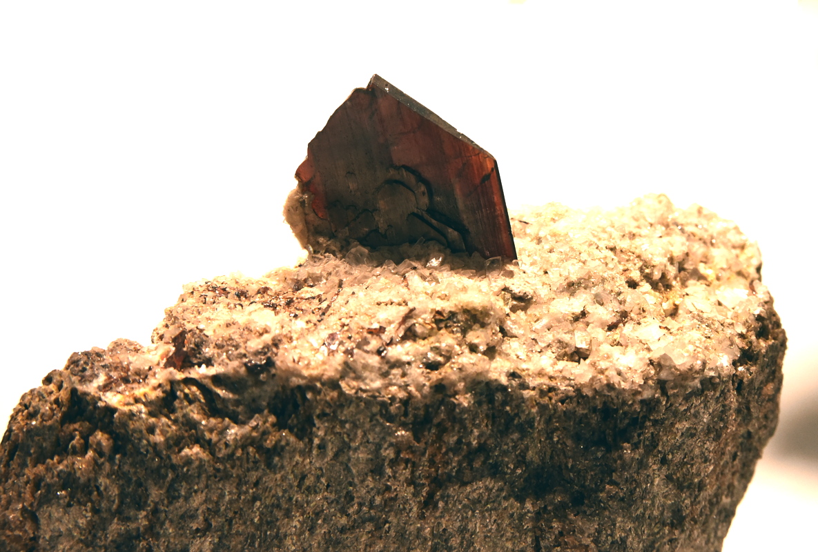 Brookit| BB: ca. 8 cm; F: Piz Aul, Vals, GR, CH; Sammlung: Musée de Minéralogie, Mines Paris Tech 