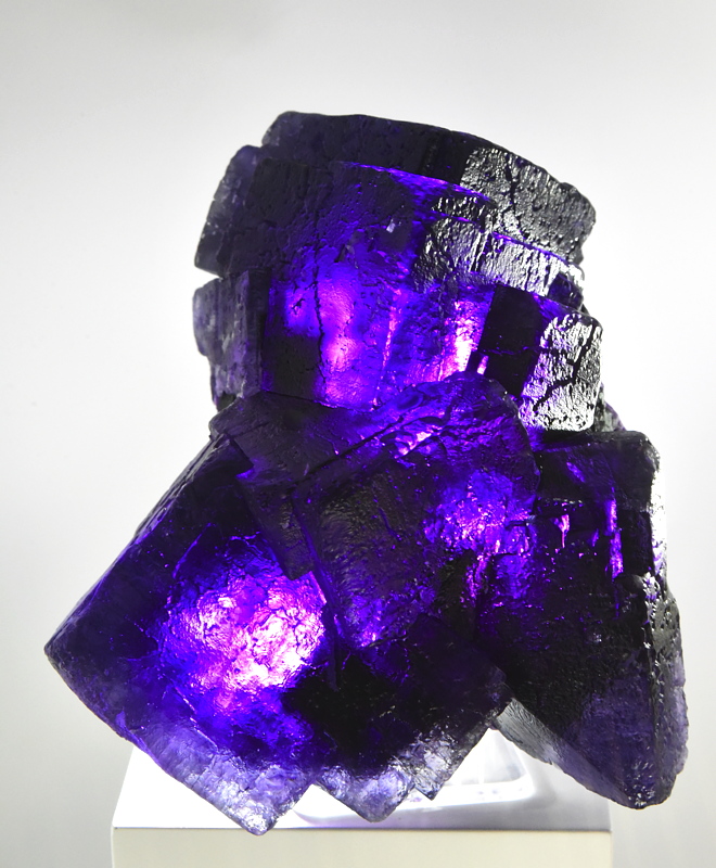 Violetter Fluorit| H: ca. 18 cm; F: Zogno, Bergamo, I; Sammlung: Federico Pezzotta 