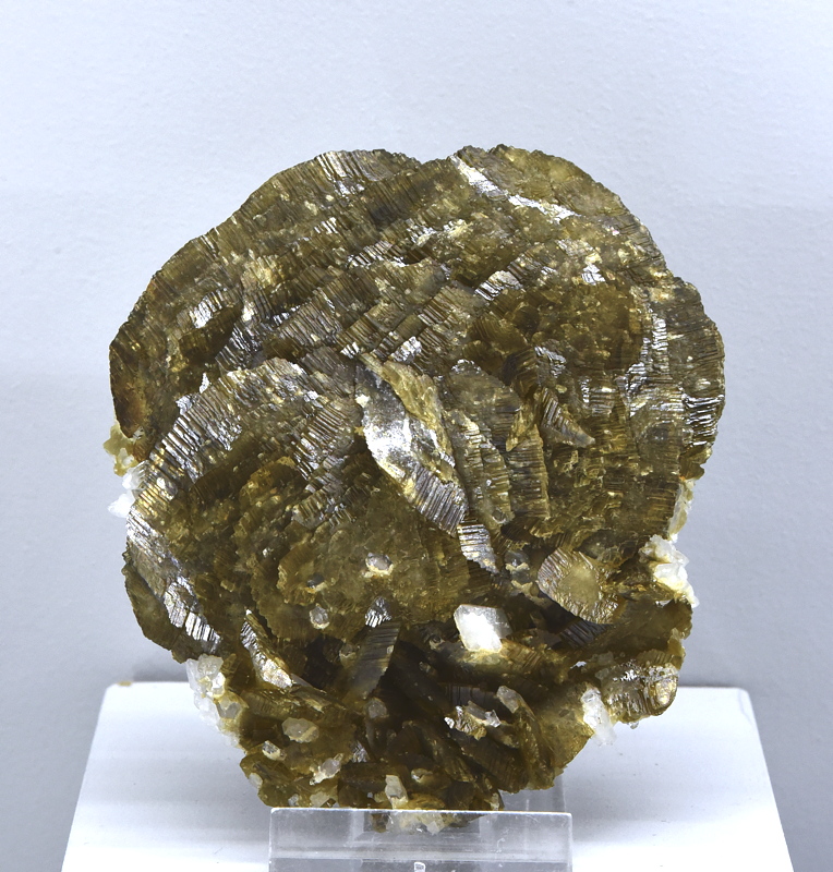 Siderit-Rose| H: ca. 10 cm; F: La Mure, Isère, F; Sammlung: Muséum National d'Histoire Naturelle, Paris 