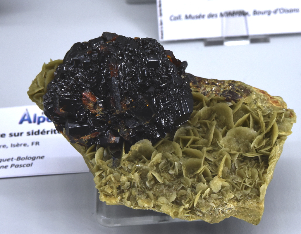 Sphalerit auf Siderit| B: ca. 10 cm; F: La Mure, Isère, F; Finder: P, Guiget-Bologne; Sammlung: Pascal Guiget-Bologne 