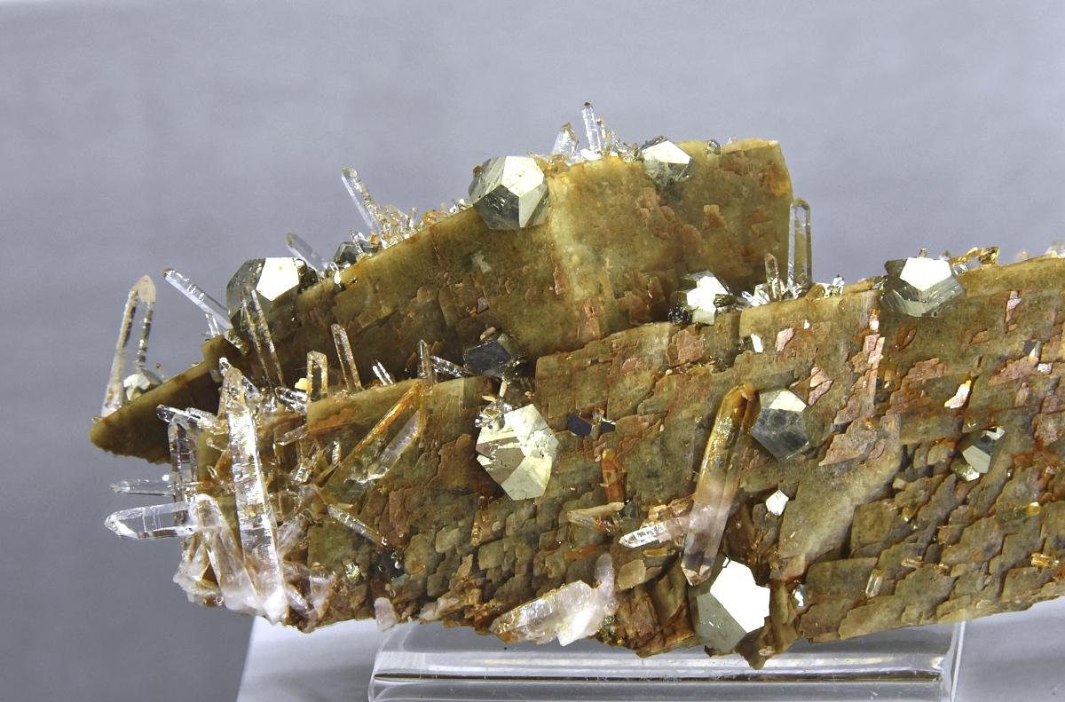 Pyrit, Quarz und Siderit| BB: ca. 6 cm; F: Saint-Pierre-de-Mésage, Isère, F; Finder: S. Khayati; Sammlung: Grégoire de Bondinat 