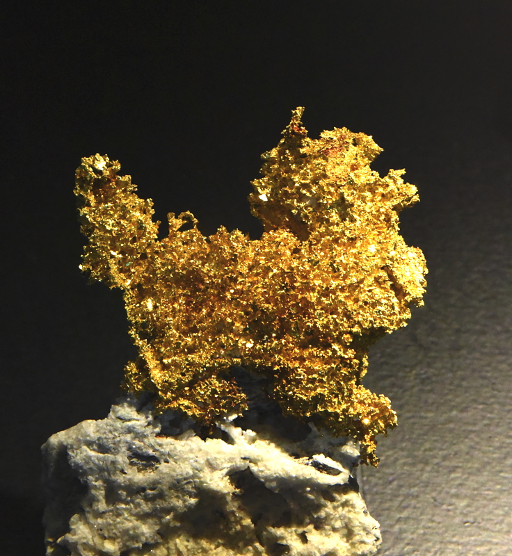 Gediegen Gold| H: ca. 7 cm; F: Brusson, Aostatal, I; Sammlung: Museo Civico di Storia Naturale, Milano 