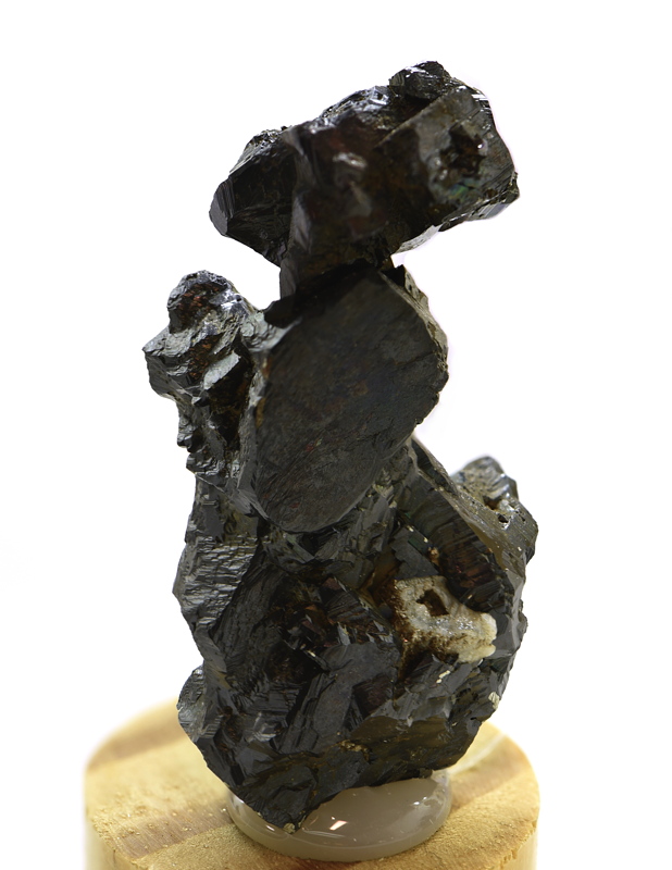 Pyrit| H: 7 cm; F: Lappach; Finder: Stefan Gasteiger 
