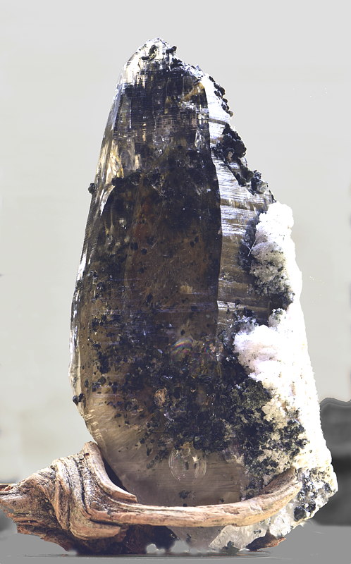 Quarz mit Biotit und Rutil| H: 6 cm; F: Pfitscher Joch; Finder: Roman Ebensperger 
