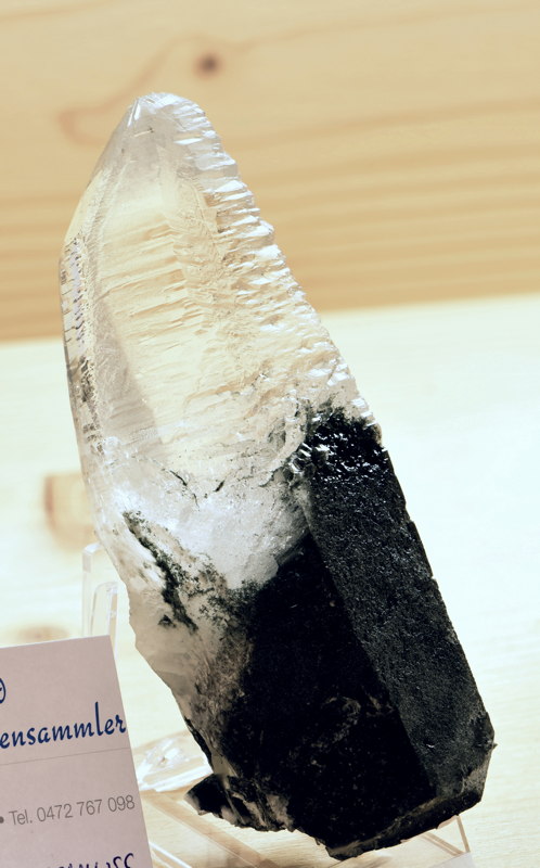 Quarz mit Chloriteinschluss| H: 8 cm; F: Pfitsch; Finder: Bruno Gasparini 