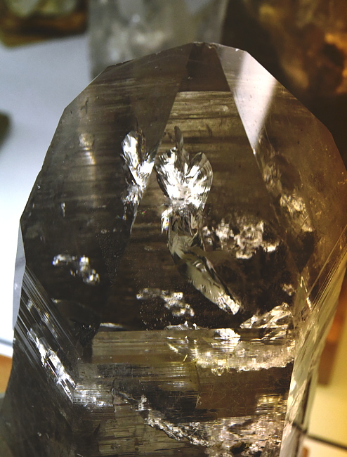 Detailbild des grossen Quarzkristalls | BB: 12 cm; F: Rotbach; Sammlung: Hermann Gasteiger 