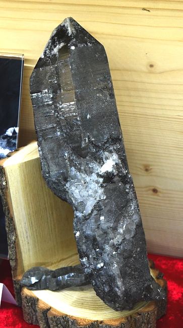 Grosse Bergkristalle | H: 40 cm; F: Pfitsch Grabe; Finder: Hans Peter Gruber 
