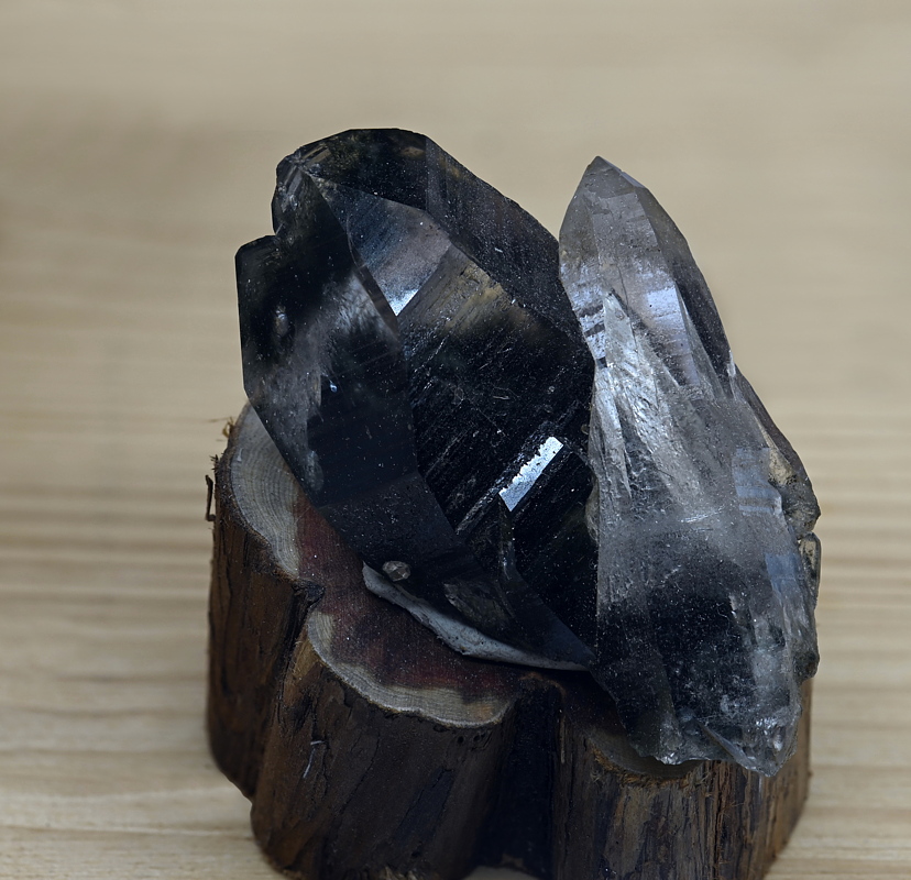 Quarz mit Aktinolith| H: 6 cm; F: Pfitscher Joch; Finder: Paul Parigger
