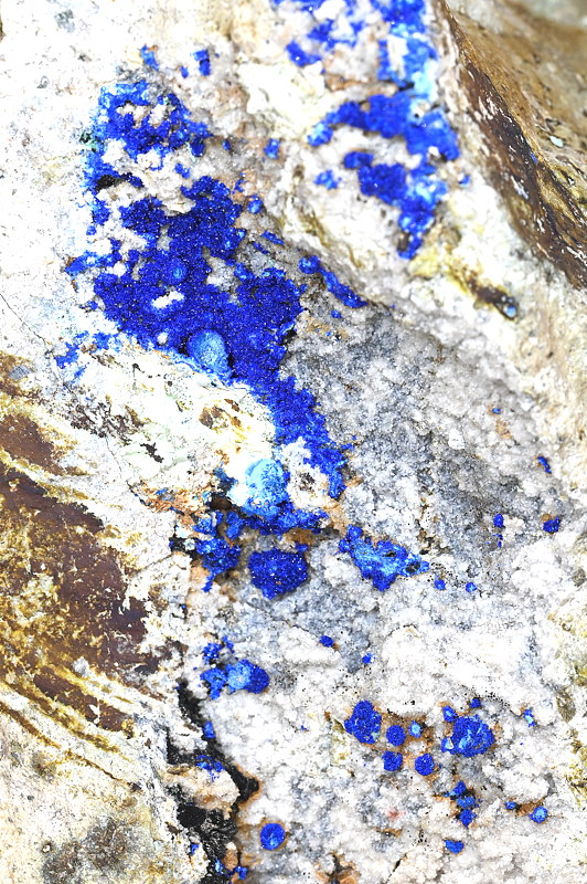 Azurit auskristallsiert | BB: 8 cm; F: Nals; Finder: Paolo Ferretti - 1. Platz der Prämierung