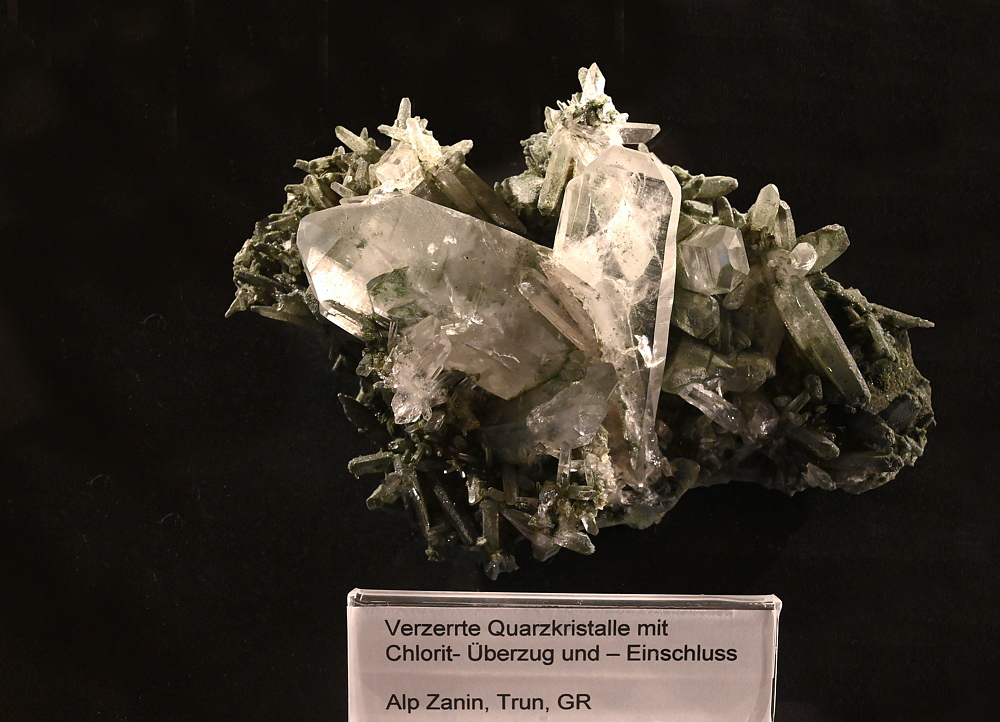 Verzerret Quarzkristalle mit Chlorit-Überzug und -Einschluss B: 12 cm, F: Alp Zanin, Trun, GR| (Kristall-Kabinett Krähenbühl)