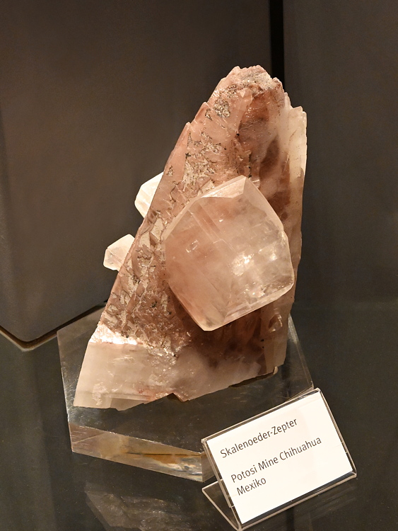 Calcit Skalenoeder-Zepter H: 15 cm, F: Potosi Mine, Chihuaha, Mexiko| (Calcit-Kabinett Hess)
