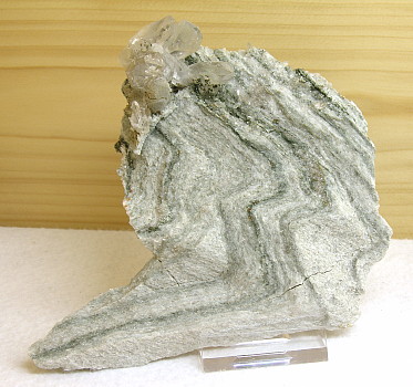 Gefaltetes Muttergestein mit Quarzkristallen| H: 14cm; Fundort: Habachtal; Finder: 'Kleeblatt' 
