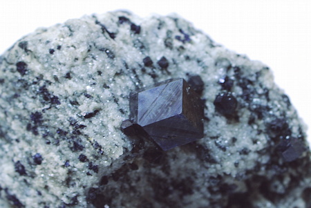 Magnetit-Einzelkristall auf Matrix| ein Rhomben-Dodekaeder K: 8mm; F: Felbertal (Ö); Finder: Sepp Papp 