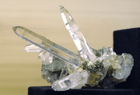 Klare feine Quarz-Kristalle| H: 10cm; F: Rauris; Sammlung: Ludwig Rasser